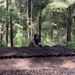 Profile picture of Gabriela Soto