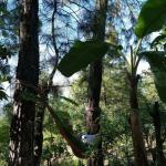 Profile picture of Gloria Aguilar