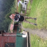 Profile picture of Alexander Jeovanny Ramos Perez