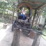 Profile picture of Evelin Yasmina Cardona Serrano